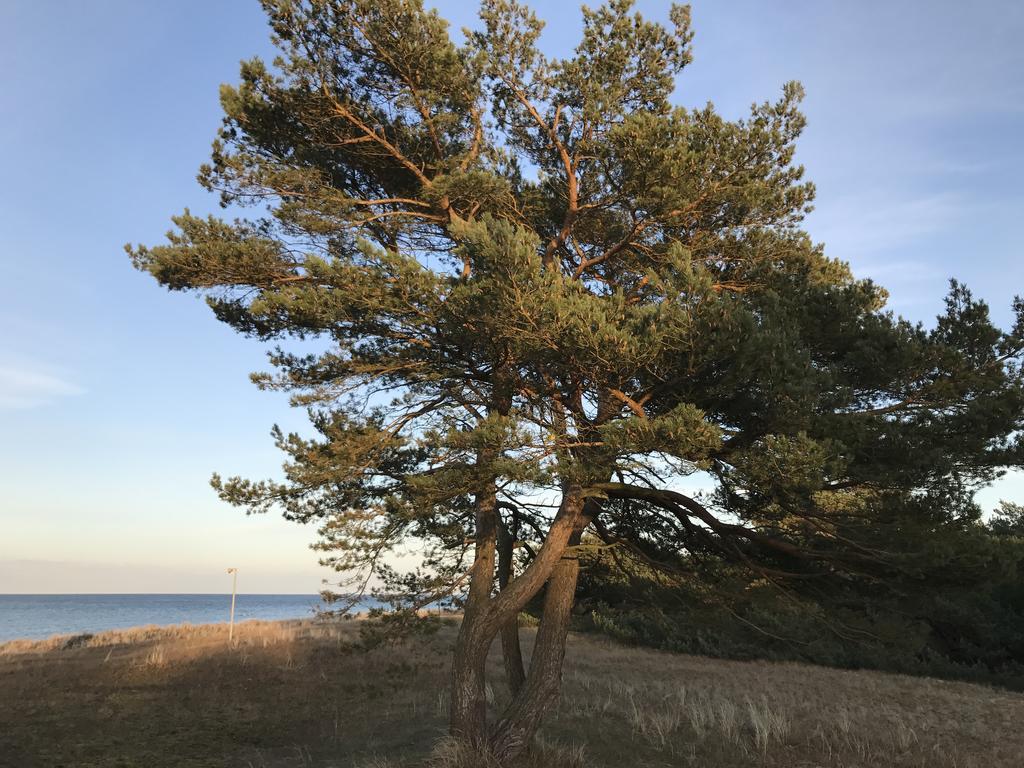Zum Nordstrand Prerow Exteriér fotografie