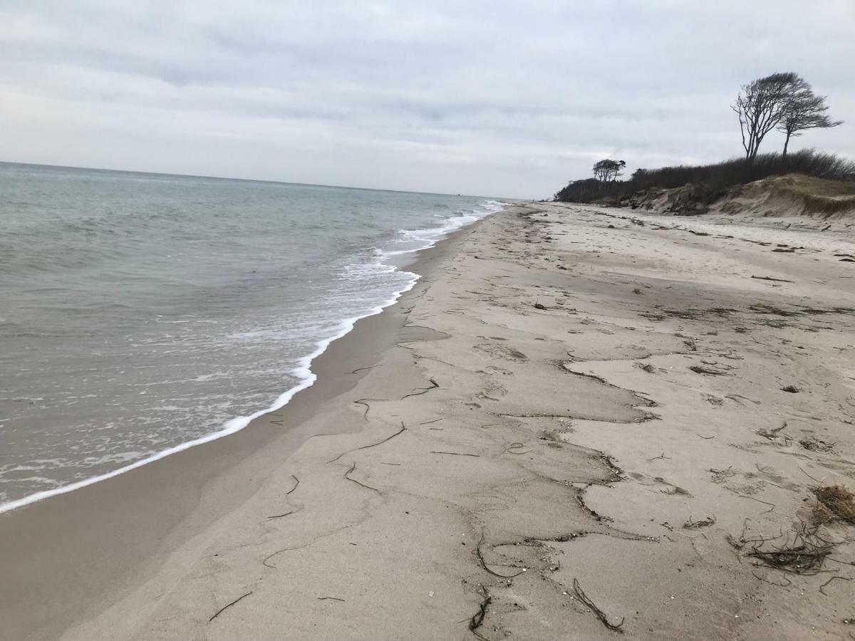 Zum Nordstrand Prerow Exteriér fotografie